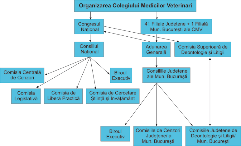 Organizare CMV România