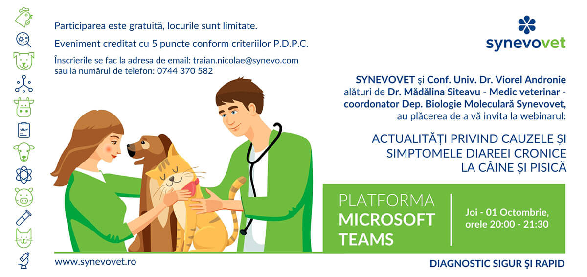 Webinar: Actualități privind cauzele și simptomele diareei cronice la câine și pisică poster