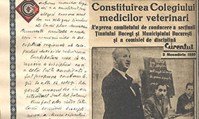 Constituire CMV